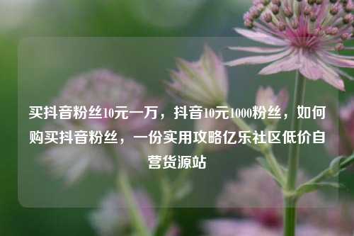买抖音粉丝10元一万，抖音10元1000粉丝，如何购买抖音粉丝	，一份实用攻略亿乐社区低价自营货源站  第1张