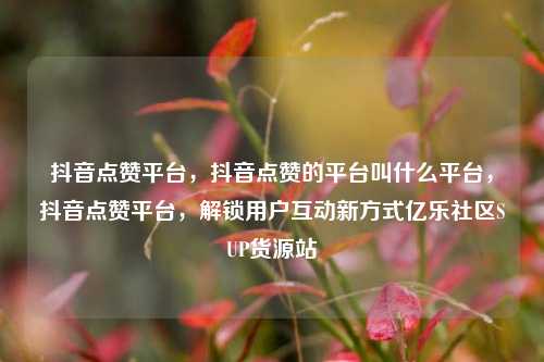 抖音点赞平台，抖音点赞的平台叫什么平台，抖音点赞平台，解锁用户互动新方式亿乐社区SUP货源站  第1张