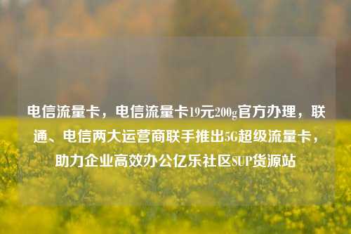 电信流量卡	，电信流量卡19元200g官方办理，联通、电信两大运营商联手推出5G超级流量卡，助力企业高效办公亿乐社区SUP货源站  第1张