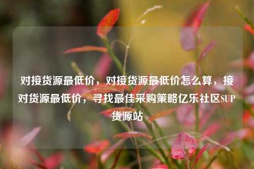 对接货源最低价	，对接货源最低价怎么算，接对货源最低价，寻找最佳采购策略亿乐社区SUP货源站  第1张