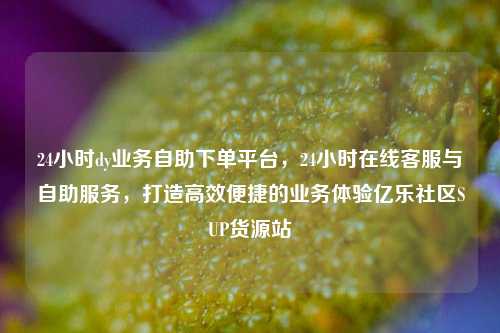 24小时dy业务自助下单平台，24小时在线客服与自助服务，打造高效便捷的业务体验亿乐社区SUP货源站  第1张