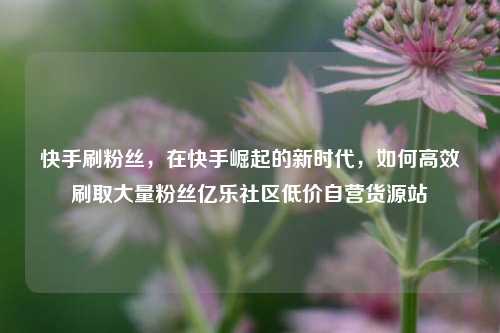 快手刷粉丝，在快手崛起的新时代	，如何高效刷取大量粉丝亿乐社区低价自营货源站  第1张