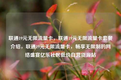 联通19元无限流量卡，联通19元无限流量卡套餐介绍，联通19元无限流量卡	，畅享无限制的网络盛宴亿乐社区低价自营货源站  第1张