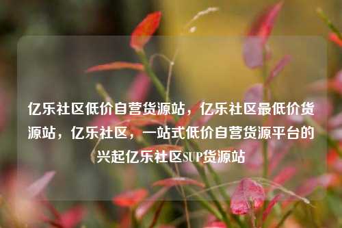 亿乐社区低价自营货源站	，亿乐社区最低价货源站，亿乐社区，一站式低价自营货源平台的兴起亿乐社区SUP货源站  第1张
