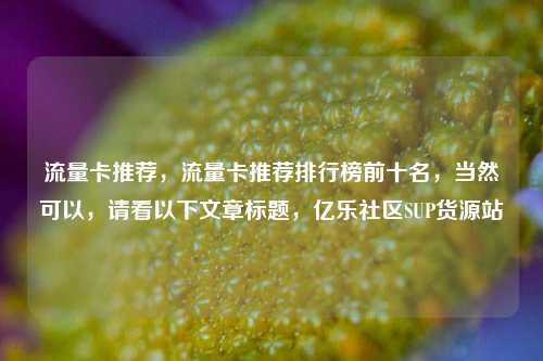 流量卡推荐，流量卡推荐排行榜前十名，当然可以	，请看以下文章标题，亿乐社区SUP货源站  第1张